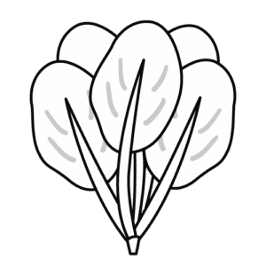 小松菜のモノクロイラスト