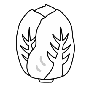 白菜のモノクロイラスト