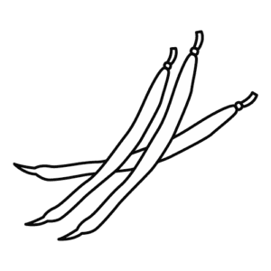 いんげんのモノクロイラスト