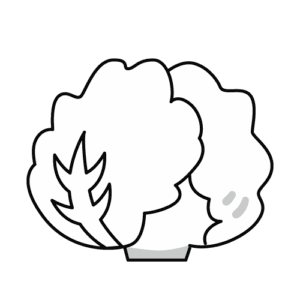 レタスのモノクロイラスト