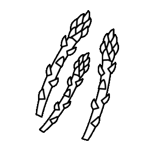 アスパラガスのモノクロイラスト