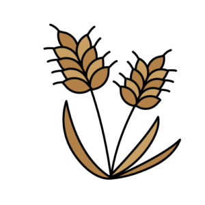 小麦のカラーイラスト