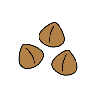 そばの実のカラーイラスト