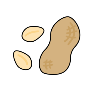 落花生のカラーイラスト