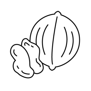 クルミのモノクロイラスト