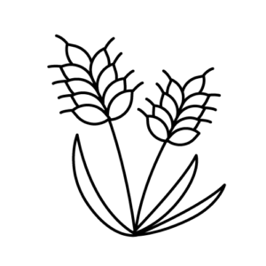 小麦のモノクロイラスト