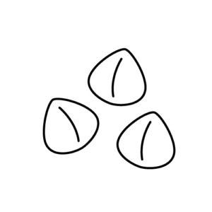 そばの実のモノクロイラスト