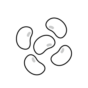 大豆のモノクロイラスト