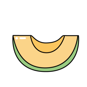 カットメロンのカラーイラスト