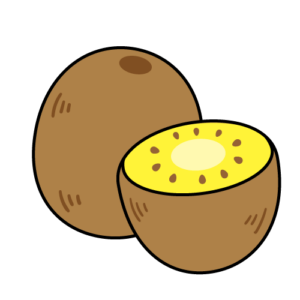 ゴールドキウイのカラーイラスト