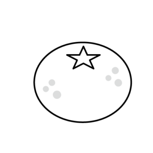 みかんのモノクロイラスト