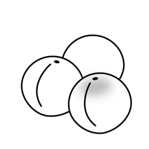 梅のモノクロイラスト