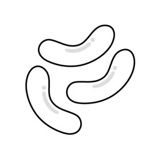 ソーセージのモノクロイラスト