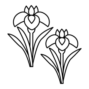 菖蒲のモノクロイラスト