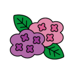 かわいい紫陽花のカラーイラスト