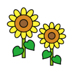 ひまわりのカラーイラスト