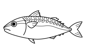 鯖のカラーイラスト